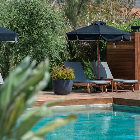 Hotel Bitzaro Palace 3*