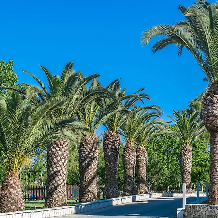 Bitzaro Palace 3*