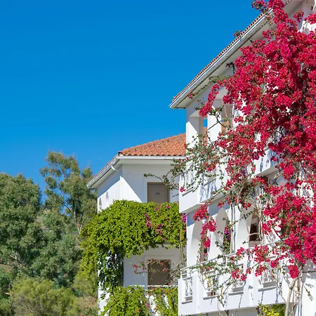 Bitzaro Palace 3*
