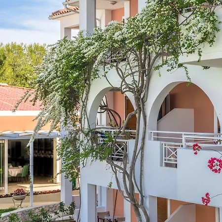 Bitzaro Palace 3*