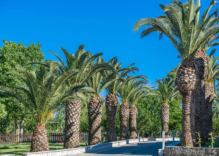 Bitzaro Palace 3*