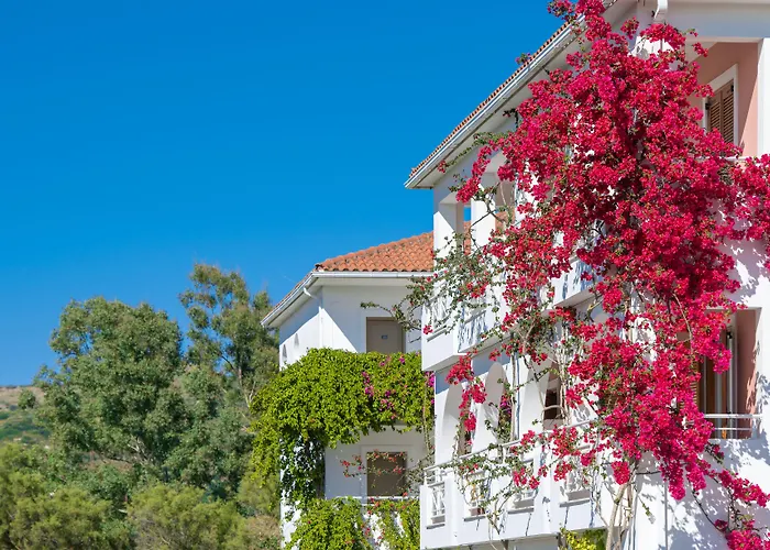 Bitzaro Palace 3*